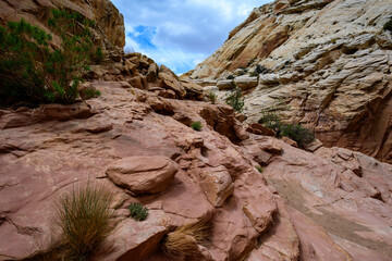 Eroded by water and wind cliffs in the canyon, Little Wild Horse Canyon, San Rafael Swell, Utah