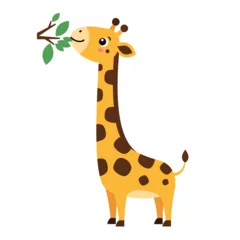 Fototapete Rund Cute giraffe standing and munching leaves in a cheerful flat vector illustration © Mustafa