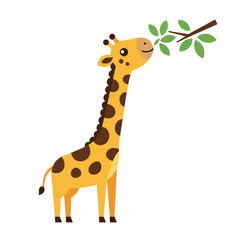 Fototapeta premium Cheerful giraffe happily munching on green leaves in flat vector art