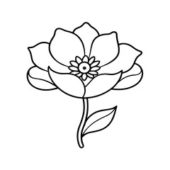 anemone flower line art on white