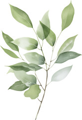Fototapeta premium Hand painted watercolor green leaf branch botanical art with natural foliage elements for eco-friendly branding materials
