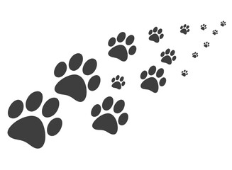 Paw Prints in Transition: An animated array of animal paw prints strides purposefully across the frame, symbolizing a journey. This visual element is ideal for evoking concepts such as change.