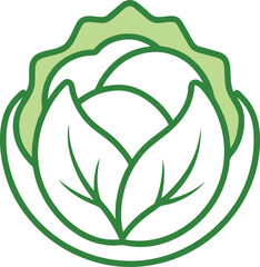 Cabbage outline icon on white backgrount
