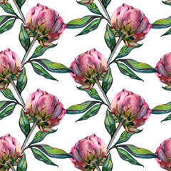 Summer Seamless Watercolor Pattern with Pink Peonies and Roses on a White Background, Illustration on a White Background
