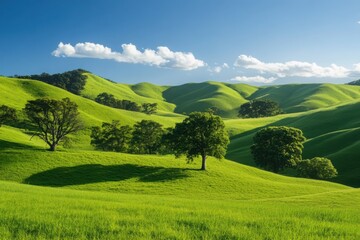 Fototapeta premium Lush green hills with scattered trees under a clear blue sky, showcasing serene nature