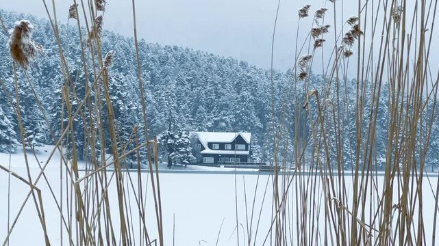 Bolu Golcuk National Park, lake wooden house on a snowy winter day in the forest in Turkey