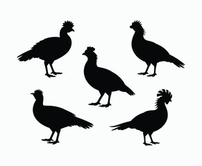 Obraz premium Junglefowl Silhouette Simple EPS Vector Template