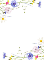 Fototapeta premium Watercolor floral frame template. Wild meadow blue cornflowers, pink, violet, orange, yellow flowers, green branches.