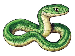 Fototapeta premium Green snake with detailed scales in natural educational pose, cut out