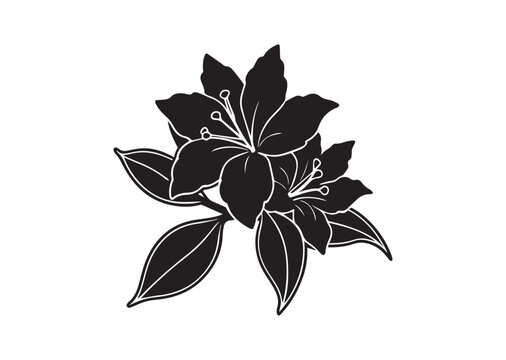 Azalea flower silhouette vector