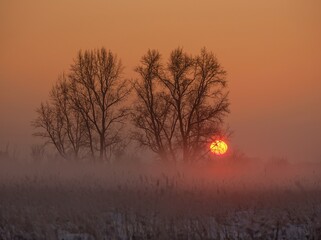 Fantastic sunset with red mist from the setting sun.