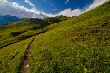 Naklejka premium Tusheti National Park in eastern Georgia. Mountains in Georgia. Caucasus in summer. Grassy green mountains.