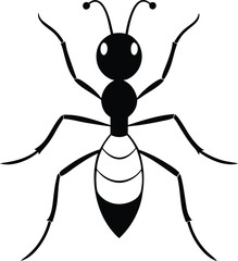 Ant line art vector on white background
