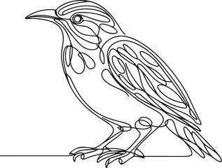 Elegant Bowerbird Outline Vector