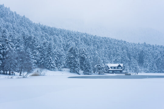 Bolu Golcuk National Park, lake wooden house on a snowy winter day in the forest in Turkey