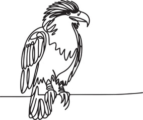 Caracara Bird Line Illustration