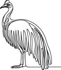 Cassowary Bird Line Drawing Design