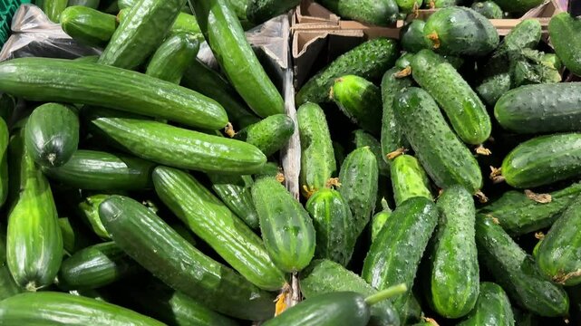 Fresh cucumbers displayed in supermarket, multiple shots
