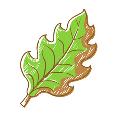 Green leaf icon with detail, nature symbol concept
