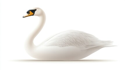 Fototapeta premium Elegant White Bird with Graceful Posture Perfect for Nature and Wildlife Themes