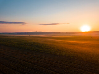 A breathtaking sunrise gently illuminates the expansive fields adorned with soft hues of bright orange and yellow