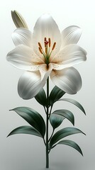 Fototapeta premium High detail metallic lily artwork high resolution photo