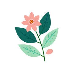 vector illustration of a flower