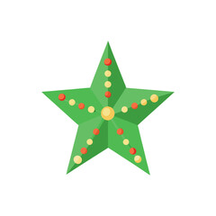 green star christmas decoration