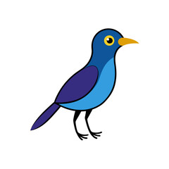 blue bird on white background