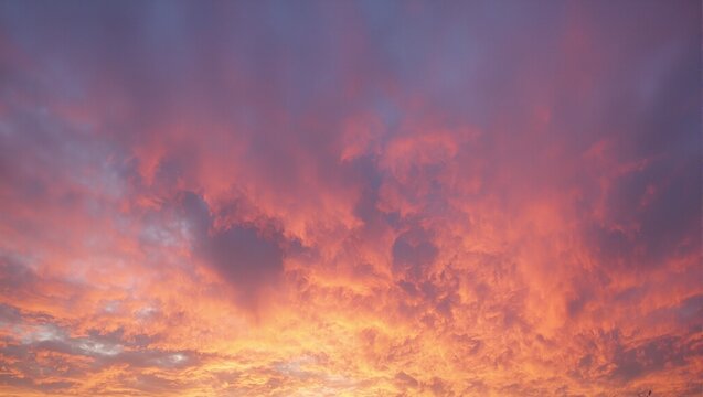 Vibrant sunset hues create a fiery and dramatic sky showcasing a stunning blend of orange purple and pink colors