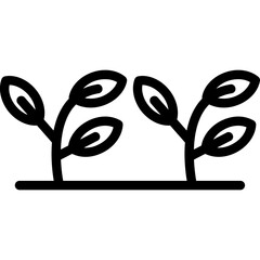 Garden Edging