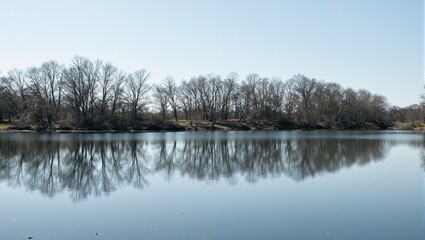 Tranquil lakeside view reflecting serene trees and sky evoking harmony and symmetry in nature
