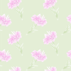pattern texture Flower peony, spring, tenderness, transparent, isolated on white background, vector.