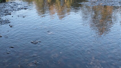 Tranquil stream with sky reflections and lush greenery Perfect for nature themed designs