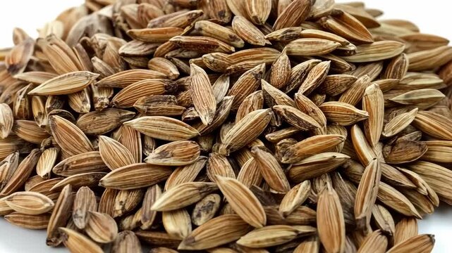 Cumin seeds displayed in a natural arrangement highlighting their unique texture and color