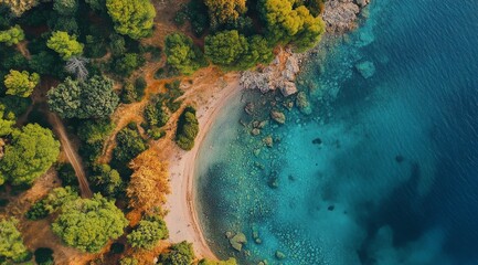 Aerial view of scenic coastline with lush forest and crystal clear waters