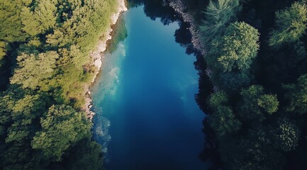 Aerial view of calm blue river surrounded by lush green forest