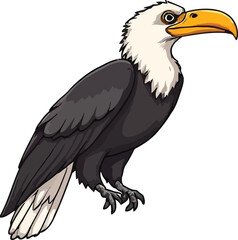 Obraz premium a illustrator vector condor