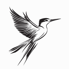 Tern flying bird logo vector Image isolated on white background.