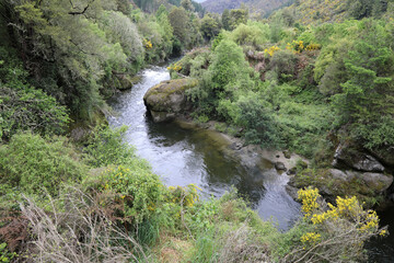 Mangles River / Mangles River /