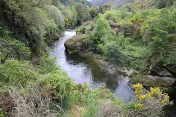 Fotobehang Mangles River / Mangles River / © Ludwig
