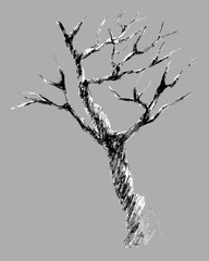 A striking black and white illustration of a leafless tree, capturing a haunting yet beautiful essence.