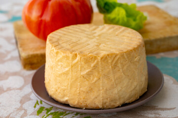 Cheese collection, piece of round fresh smoked Spanish goat cheese close up