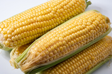 Fresh yellow ripe sweet raw corn, sugar corn or pole corn, variety of maize, uncooked