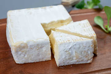French soft squared pont l'eveque cow cheese from Calvados department, Normandy, France