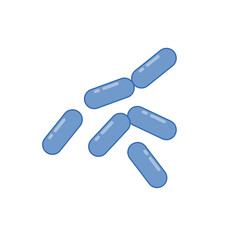 Diplobacillus bacteria morphology. Vector illustration in flat style.