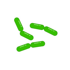 Diplobacillus bacteria morphology. Vector illustration in flat style.