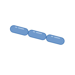 Diplobacillus bacteria morphology. Vector illustration in flat style.