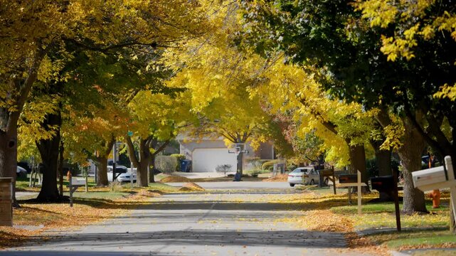 Charming neighborhood street glowing with fall colors, yellow leaves covering the walkway in soft sunlight.