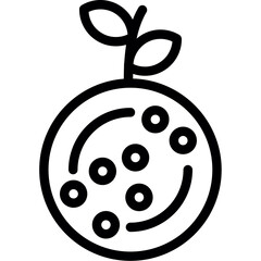 Mandarin Orange Icon